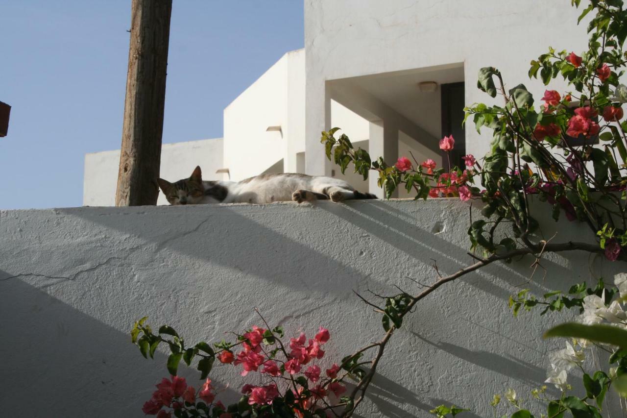 Auberge Keur Diame Dakar Bagian luar foto